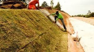 Vai plantar em talude? Temos a grama ideal para terrenos em declive, a escolha correta é importante, pois soluciona possíveis problemas com erosão.